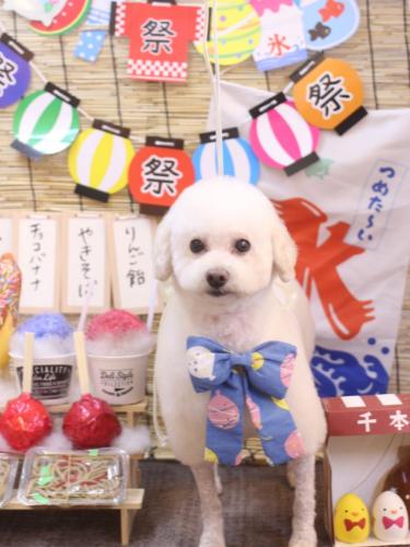 20240730MAPLEちゃん